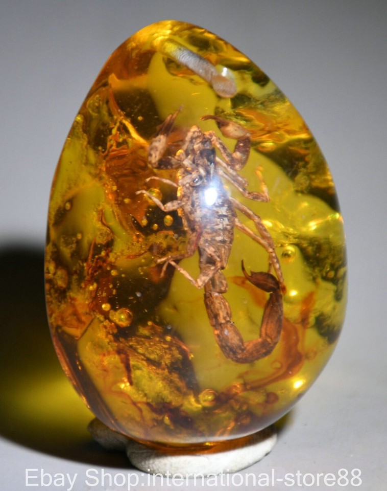 Natural Scorpion In Resin Amber Pendant Necklace - Real Insect Decorative Stone For Jewelry & Home - View #10