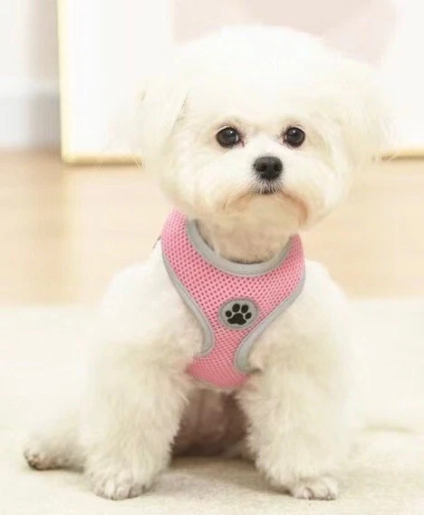 Dog Harness, No Pull Reflective Adjustable Breathable Mesh Paw Design S M L