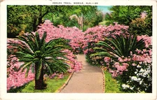 ALABAMA Mobile Azalea Trail AL Vintage Postcard