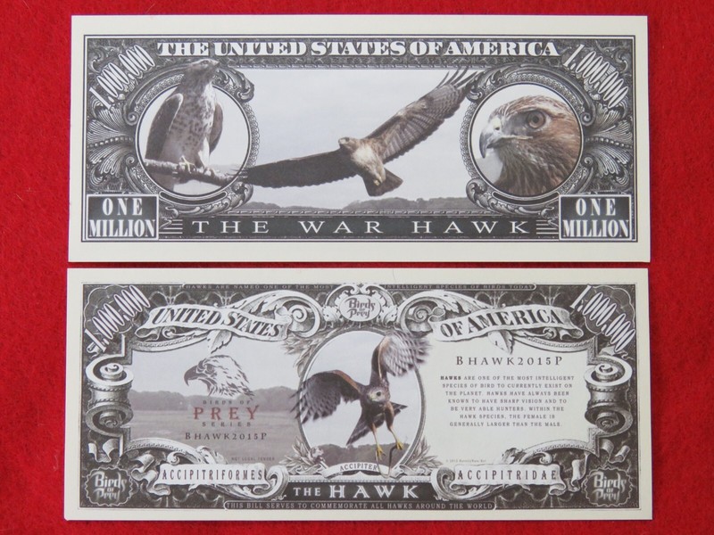 HAWK Bird ~ The War Hawk, Bird of Prey Series ~ $1,000,000 One Million Dollars