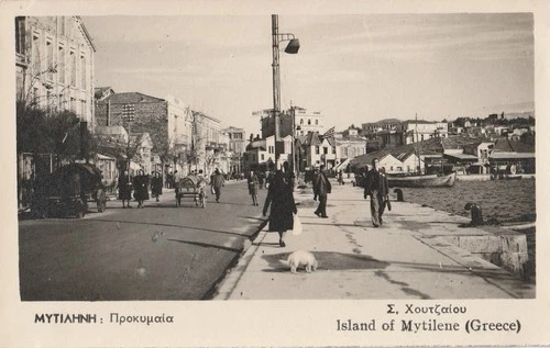GREECE LESVOS MYTILENE LE QUAI