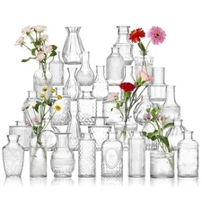 Glass Bud Vase Set of 32 Pcs, Vintage Clear Small Glass Vases for Flowers, Gl...