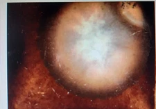 Duncan Discontinued RARE Crystaltone Glaze  COFFEE CLOUDS Color 4 oz. FREE SHIP