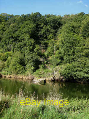 Foto 6x4 Steile Seiten von Huntsham Hill Great Doward Elliot's Holz cl c2008
