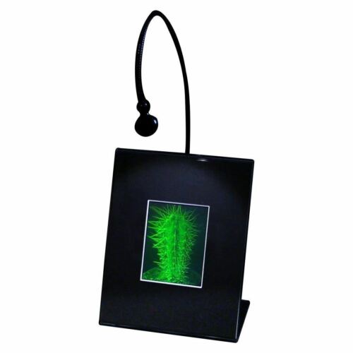 SOPORTE DE ESCRITORIO ILUMINADO CON IMAGEN DE HOLOGRAMA DE CACTUS 3D, película tipo haluro plateado - Imagen 3 de 7