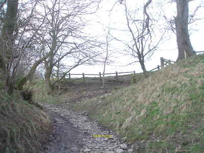 Foto 12x8 Bridleway Kreuzung auf Mark House Lane Coniston Cold c2012