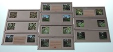 LOT OF 20 STEREO SLIDES 1950S IN METAL FRAMES FLOWERS, SCENIC