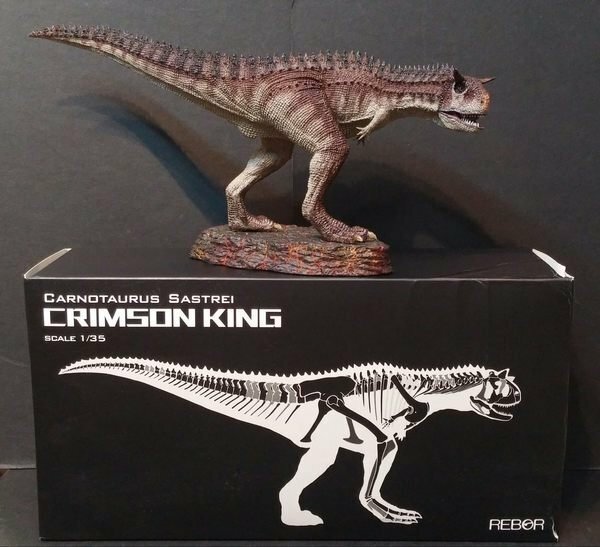1/35 REBOR Carnotaurus Sastrei Crimson King PVC Dinosaur Museum Class Model for sale online | eBay