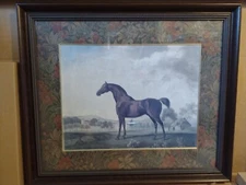 VTG BOMBAY  HORSE PRINT FRAMED