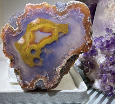 Agate mineral specimen display slice with purple and yellow banding