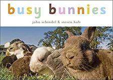 Busy Bunnies John Schindel