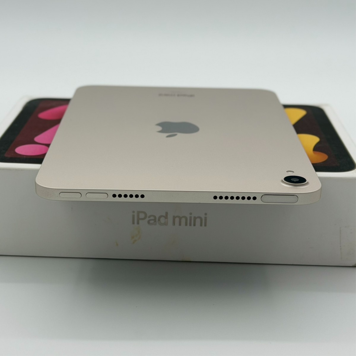 Apple iPad mini 8.3