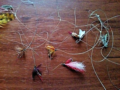beach fishing reels australia Beach Fishing Tips by Alvey Reels Australia