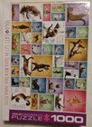 Yoga Cats - Get in Touch With Your Inner Kitty, 1000 Pc Jigsaw, Eurographics — photo 1