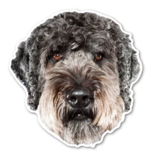 (Black) Labradoodle Magnet