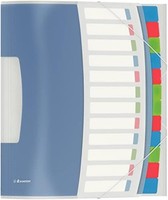 Esselte 624030 Ordnungsmappe Vivida, A4, Pp, 12 FäCher, Mehrfarbig