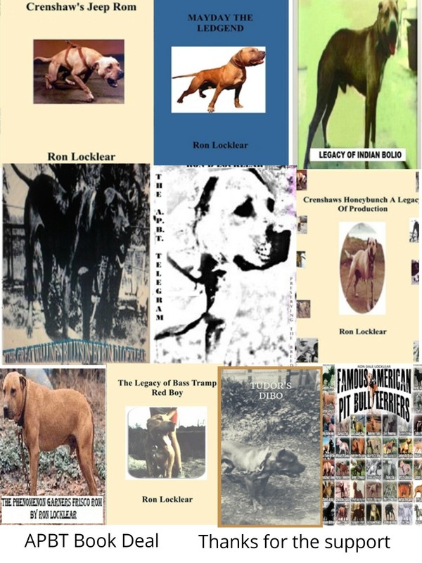 🔥 3 Random American Pit Bull Terrier Book Deal 🔥 Read Description bidding 