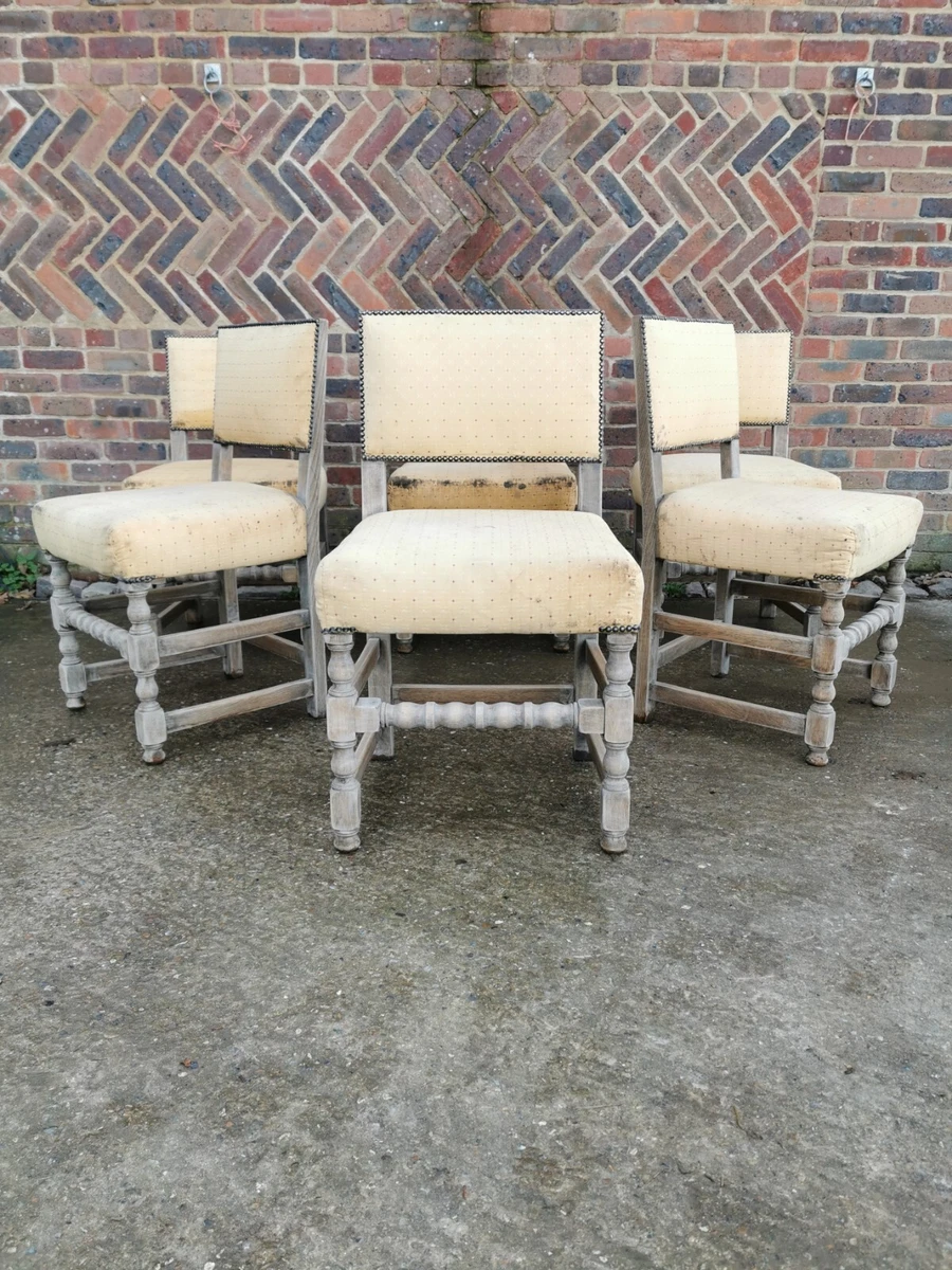 Bleached oak dining chairs deals