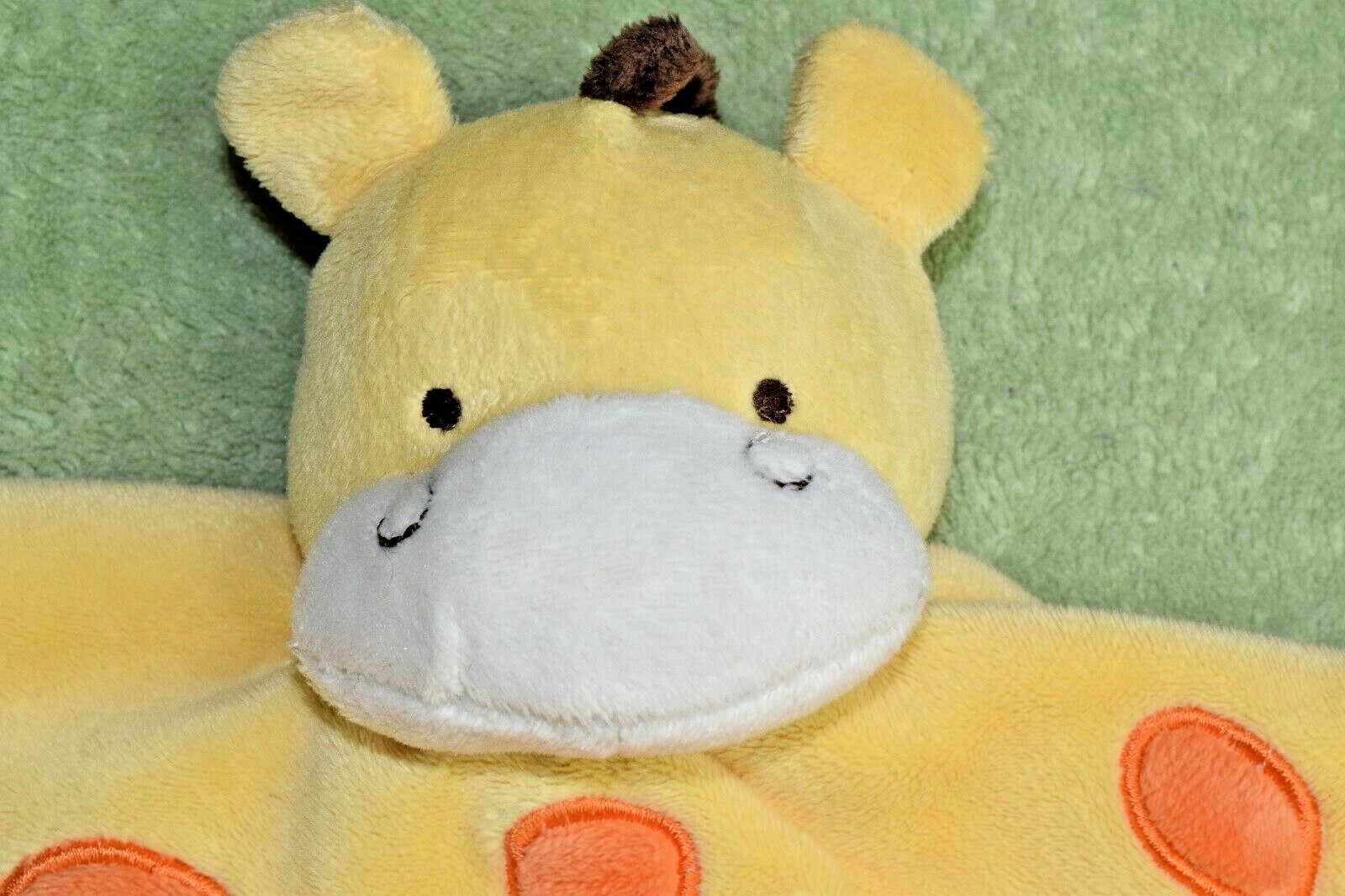 Foto 8 di 8