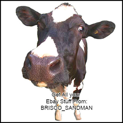 Fridge Fun Refrigerator Magnet HOLSTEIN COW - Version B - Specialty Die Cut Farm