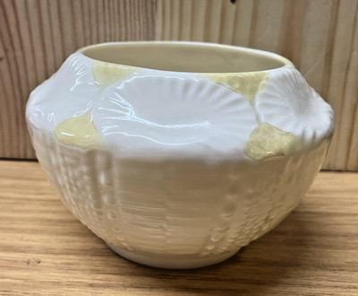 Belleek irisches Porzellan Muschel Motiv offene Zuckerdose 10x6,5 cm (20)