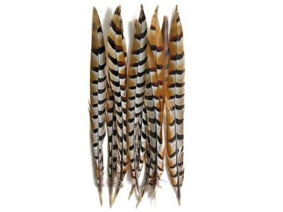 10 Pieces - 18-20'' Natural Brown Reeves Venery Pheasant Tail Feathers Boho