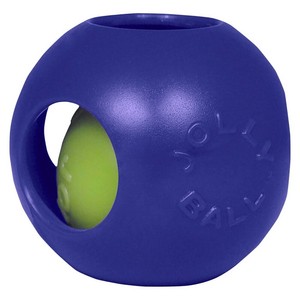 plastic squeaker