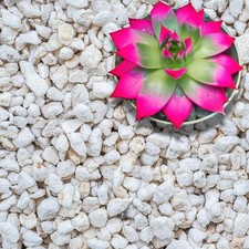 Extra Coarse Grade 4 Perlite Organic Soil Amendment Drainage Succulents Orchids