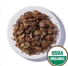 Red Clover Blossoms Fresh (Trifolium pratense) Active BLOSSOM Whole Organic