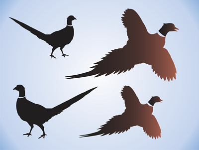 (4) Pheasant Birds Stencil Rooster Fly Stand Flushed Ring Neck Wildlife DIY Sign
