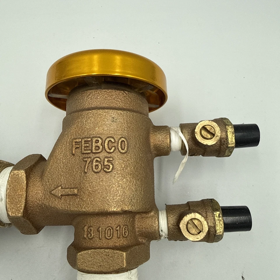 FEBCO 3/4" Pressure Vacuum Breaker Assembly 765-DBV - Image 2 of 4