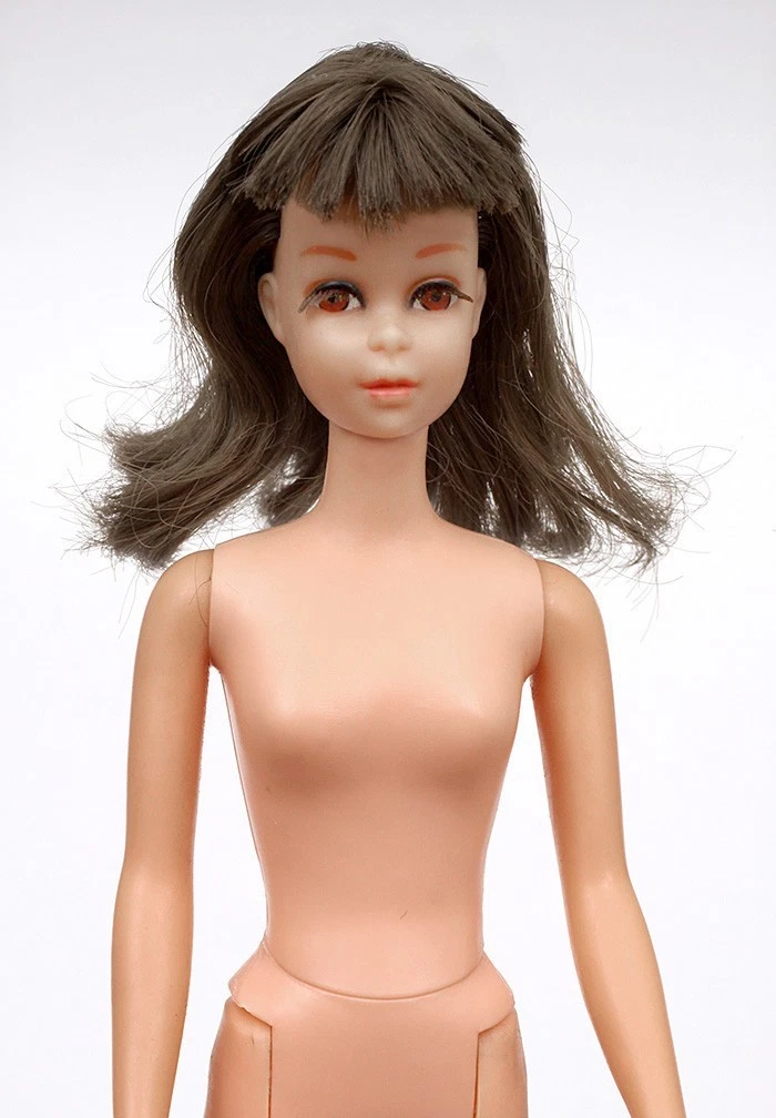 25+ francie barbie doll for sale | Updated Oct 2026