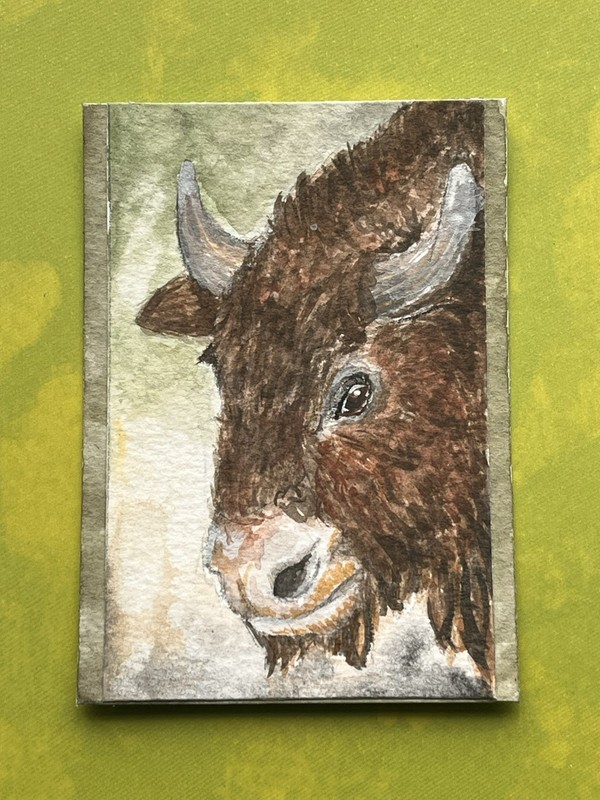 ACEO 2.5x3.5" Original Botanical "Bison" Watercolor 2026 K Fowler Art