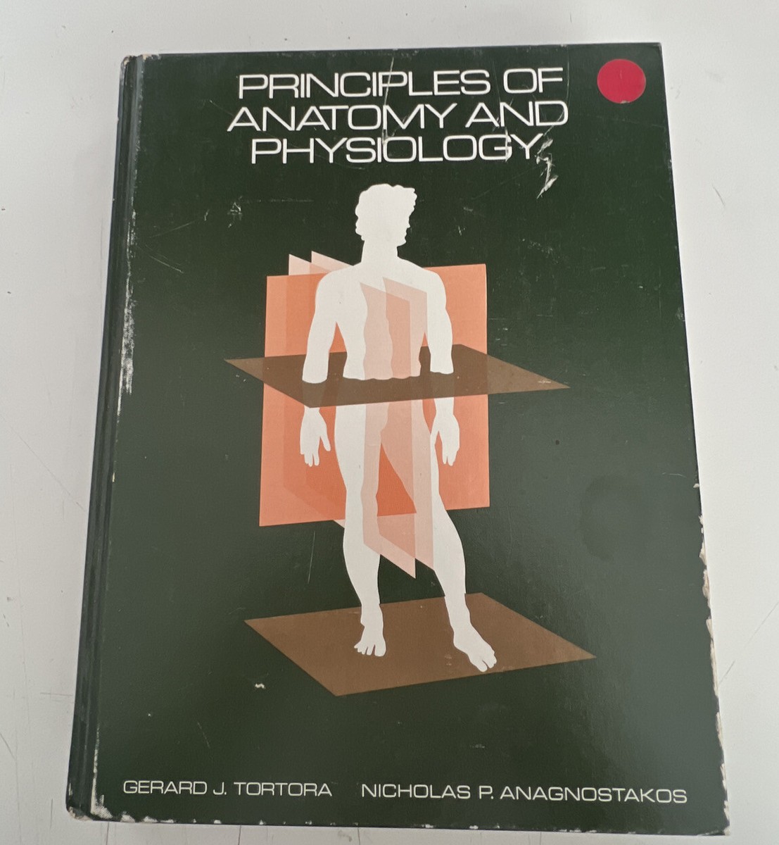 Principles of Anatomy and Physiology 第7版 【公式通販】