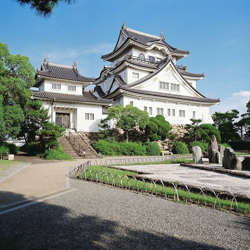 TESTED *MINT* Hasselblad 503CX PME 5 CF 50mm f4 FLE Lens Acute Matte A12II JAPAN - Image 4 of 4