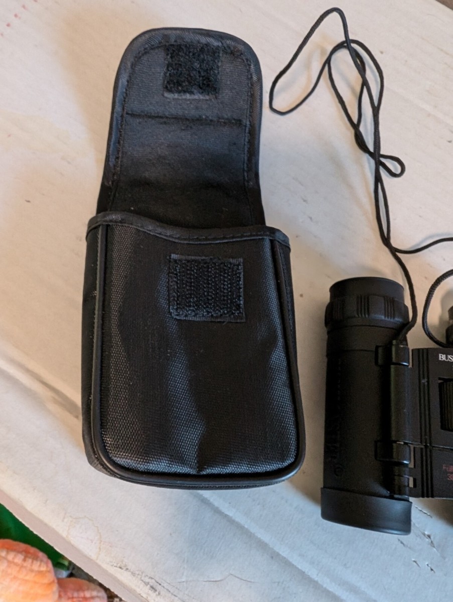 Bushmaster Binoculars 821 BR 383ft/1000yds Fully Coated Optics
