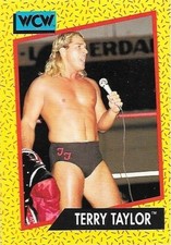 1991 Impel WCW - Terry Taylor #73