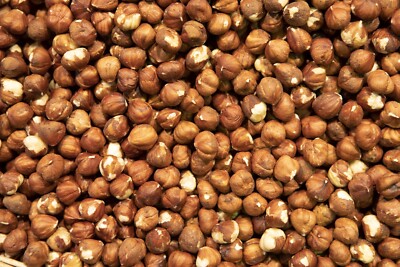4 Pounds ~   Hazelnuts Filbert Cobnut Hazel Nuts Fresh Shelled  ( 4 LBS )