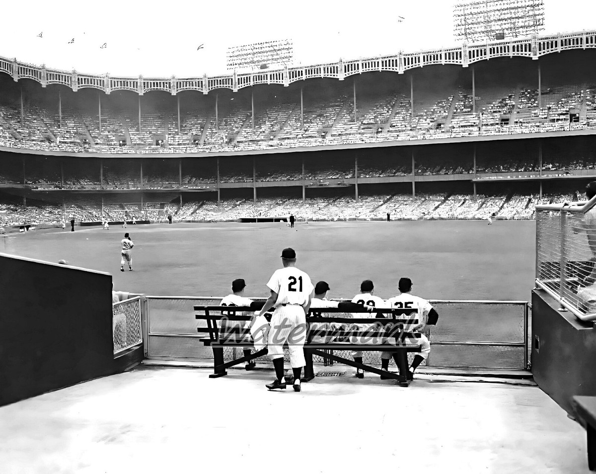 MLB 1950's New York Yankees Bullpen Yankee Stadium 8 X 10 Photo