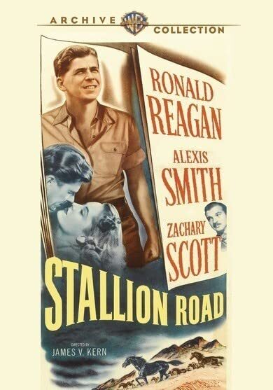Stallion Road (DVD) Alexis Smith Ronald Reagan Zachary Scott