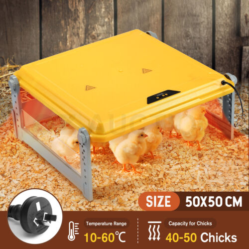 Chick Brooder Heating Plate Warmer Chicken Coop Brooding Heater Poultry Duckling - Picture 26 of 61