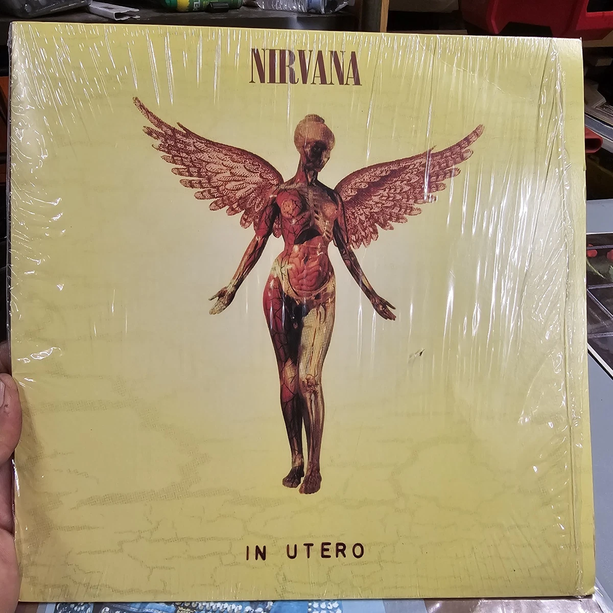 25+ Nirvana Utero Indiana Vinyl Records for sale | Updated Oct 2026