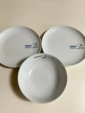 PEANUTS SNOOPY & WOODSTOCK 3-Piece Plate and Bowl Set Lacquerware