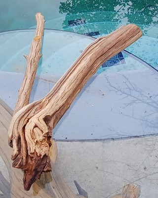 Large Driftwood Manzanita aquascape aquarium Terrarium Decor Bonsai 22''×13''×4''