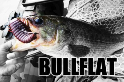 deps BULLFLAT 5.8 inch 1.6 oz Bluegill Form Worm For Big Bass
