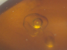 Large Water Bubble Enhydro with Moving Air in Burmese Amber Fossil Dinosaur Age