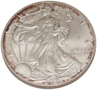 2001 American Silver Eagle 1 oz .999 BU Natural Peripheral Toning Capsule