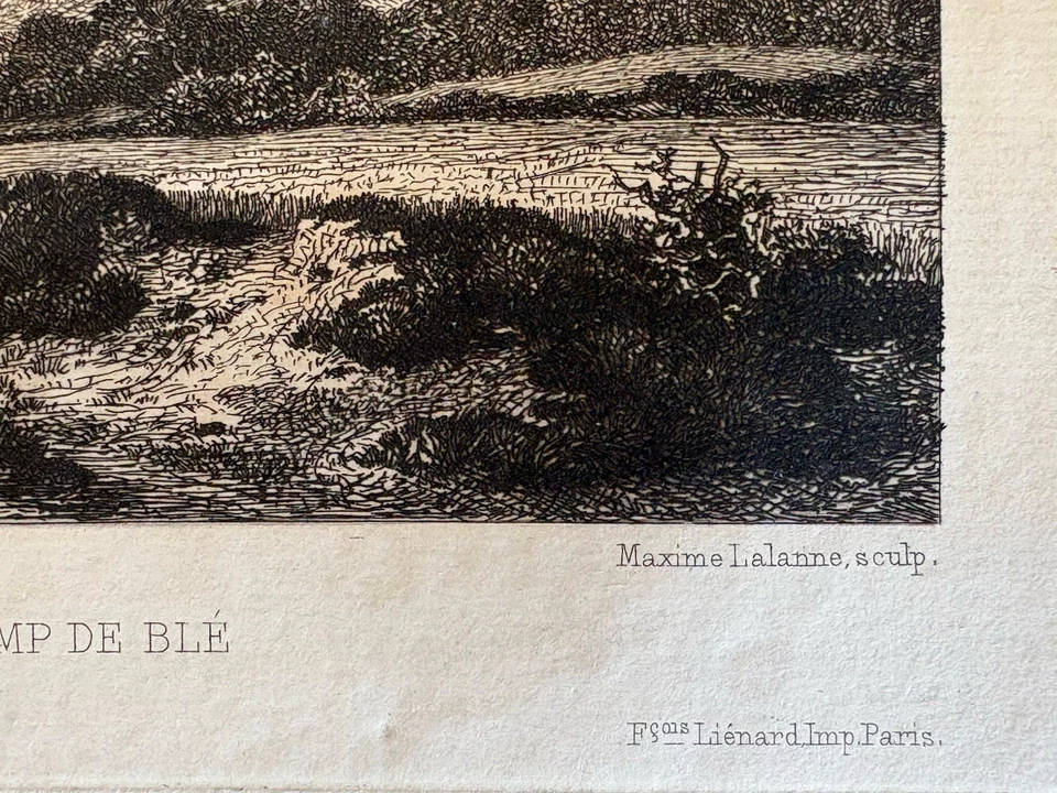 Maxime Lalanne / J Ruysdael Gravure Eau Forte Etching Paysage Champ De Blé 1873 - Photo 3/4