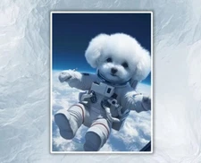 White Bichon Frise Dog , High-Quality