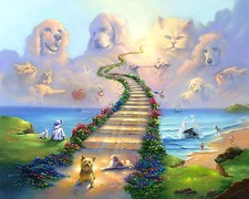 11x14 Rainbow Bridge Stairway to Heaven Dog Cat Memorial Sympathy Premium Print
